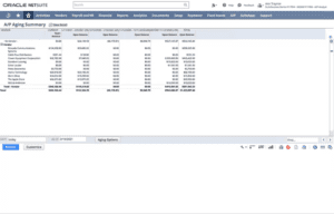 what is netsuite accounting software